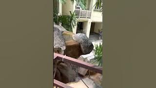 Singapore Condo - Emerald Garden