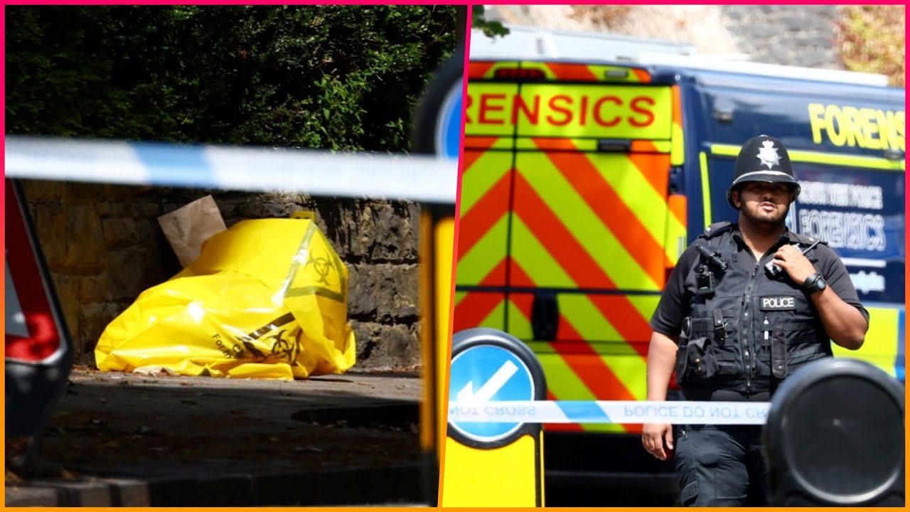 Police arrest man after human remains found inside suitcases on Clifton ...