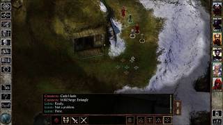 Icewind Dale EE Playthrough Part 70: Finishing Quests