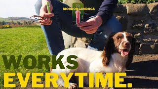 The Dog Whistle We Use As Professional Trainers