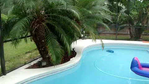 Video 9423481: hairless sphynx, sphynx cattery, sphynx kitten, hairless cat, kittens litter