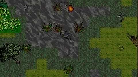 Tibia tutorial - Beholder