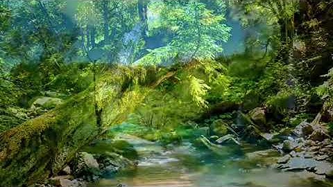 الشيخ ماهر المعيقلي - سورة الزمر #قرآن #القران_الكريم