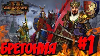 СТРИМ! Total War: Warhammer 2 (Легенда) - Бретония #1