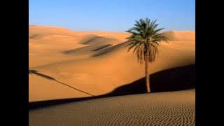 Natacha Atlas  Habibe