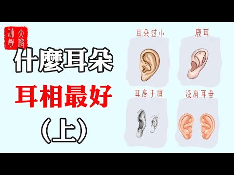 【面相】什麼樣的耳朵最好？ （上）6種耳朵形態看命運，這一種大貴耳相很稀有！#大佬你好啊