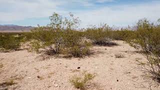 Property for Sale in the Valle Vista community of Kingman AZ