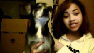 Capture_20111119_4.wmv