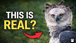 7 Birds That Look Fake But Are Real