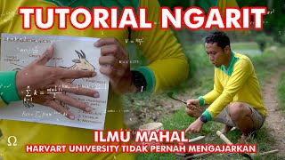 TUTORIAL MENGARIT (sebuah ilmu yang tidak pernah diajarkan di universitas manapun)