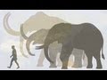 Hendrik Poinar: Bring back the woolly mammoth!