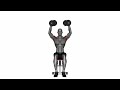 Dumbbell Seated Shoulder Press Parallel Grip - Proper Form &amp; Technique [4K]