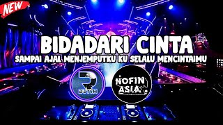 DJ SAMPAI AJAL MENJEMPUTKU KU SELALU MENCINTAIMU TIK TOK | BIDADARI CINTA JUNGLE DUTCH FT NOFIN ASIA