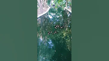هرکس به تماشایی رفتند به صحرایی استاد محمدرضا شجریان کلیپ موسیقی سنتی 
