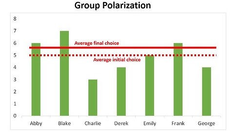 Group polarization - Leader decisions from psychological perspectives