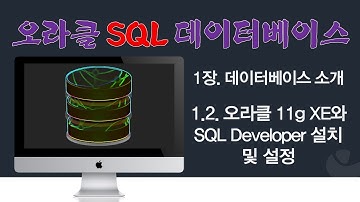 [오라클 SQL] 1.2. 오라클 11g XE 설치 및 SQL Developer 설치
