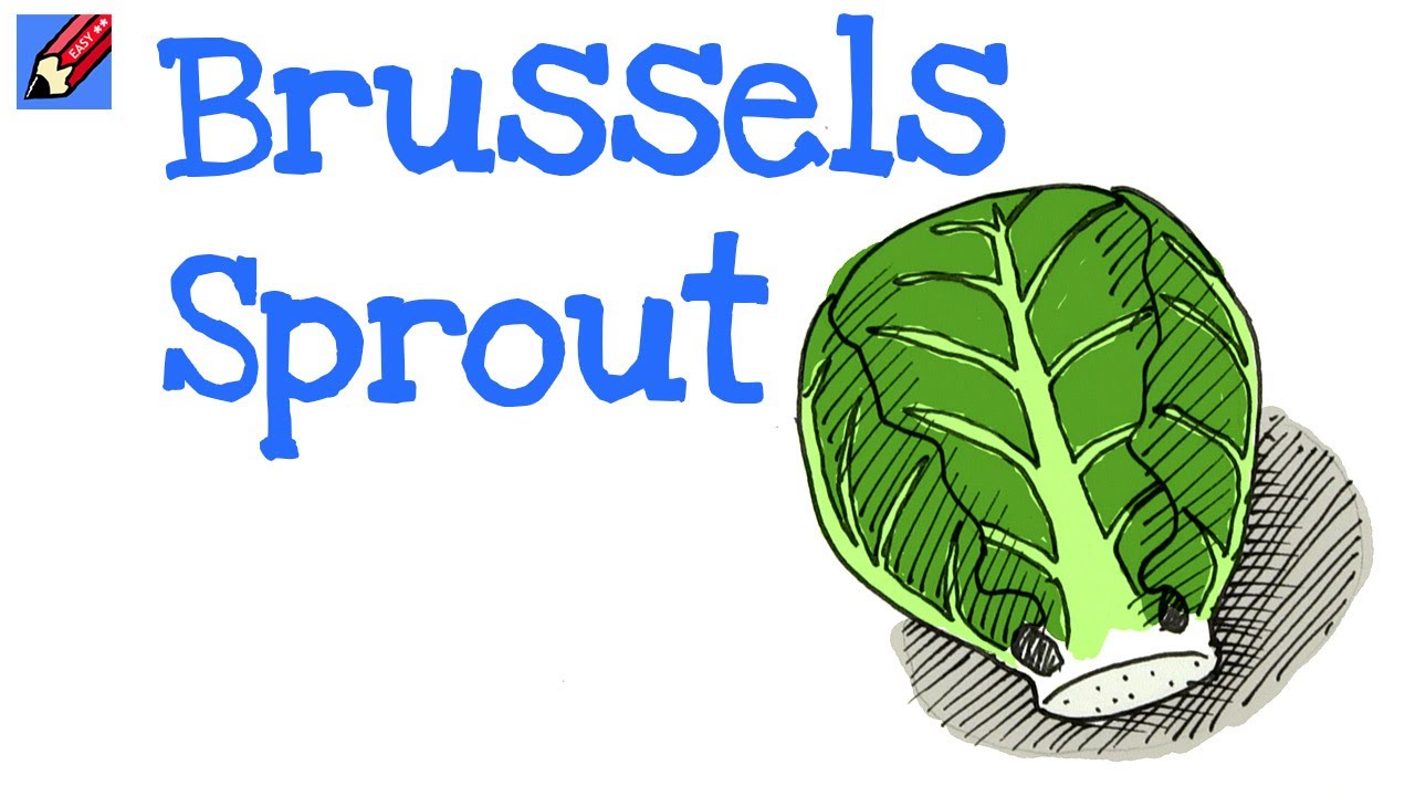 How to Draw a Brussels Sprout Real Easy - YouTube