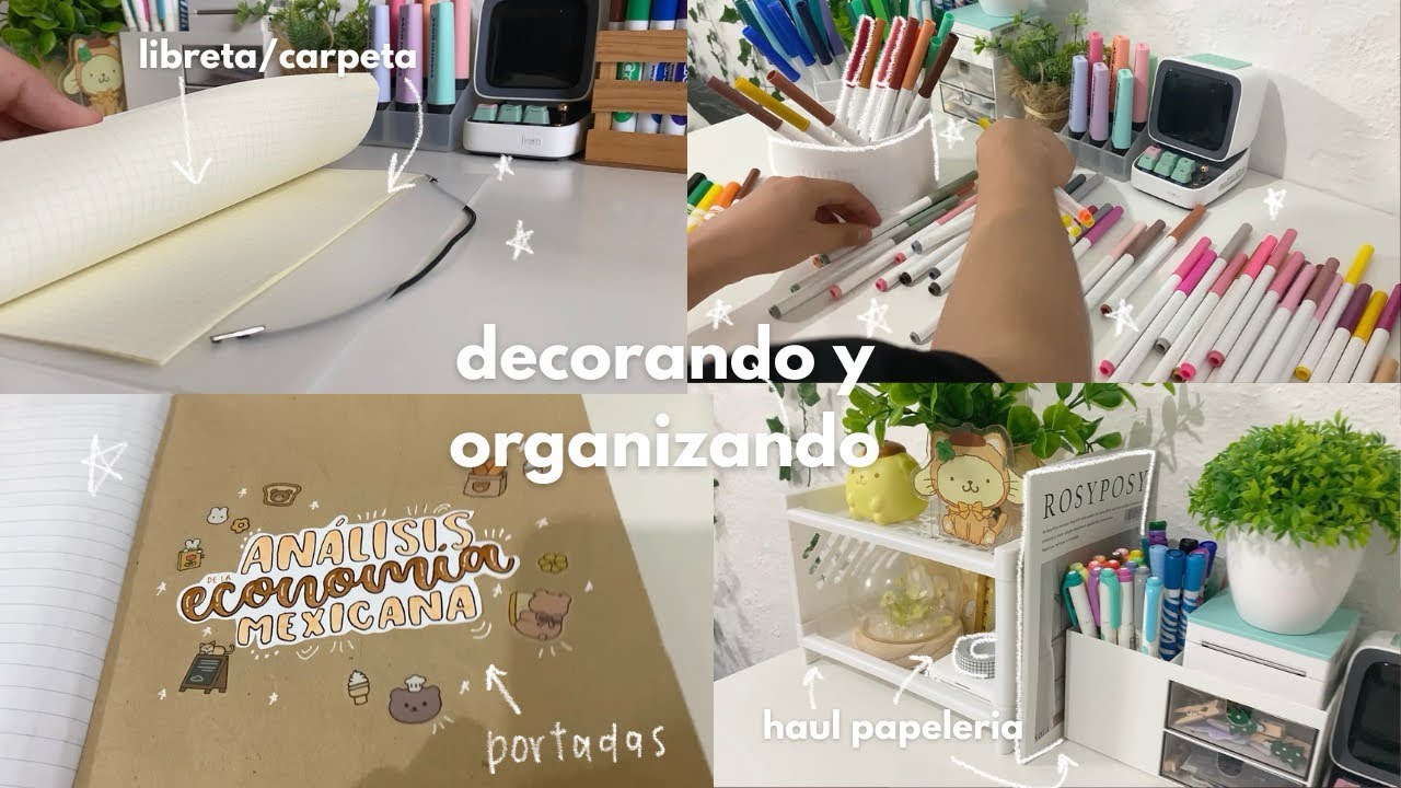 decorando y organizando mis libretas🐰+ haul de papelería bonita de shein