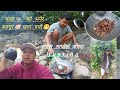 घाँस कात्न जादा भुटिवा खादै /Vlog/Solti2