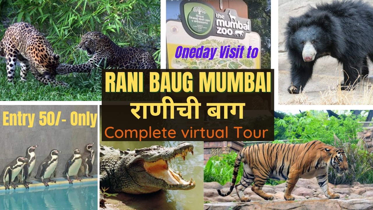 Rani Baug 2021 New Animals Zoo In Mumbai Wild Animals In Rani Baug Tiger In Ranichi Baug Youtube