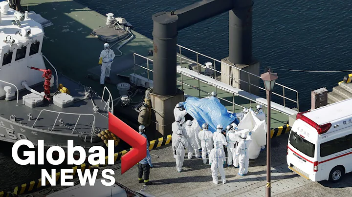 Coronavirus outbreak: COVID-19 cases spike on quarantined cruise ship docked in Japan - DayDayNews