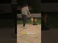 Why Your Dog Stops Listening To You 🛑🐶