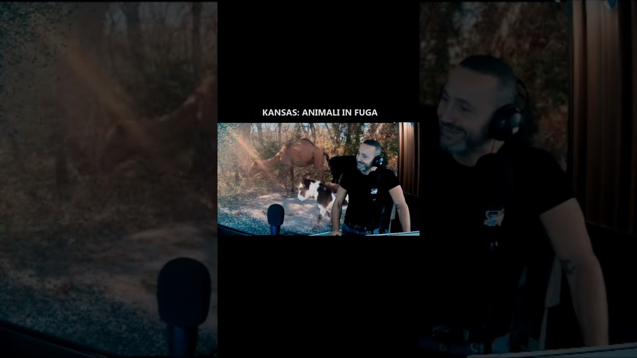 Andrea Catavolo Show Kansas Animali In Fuga Youtube