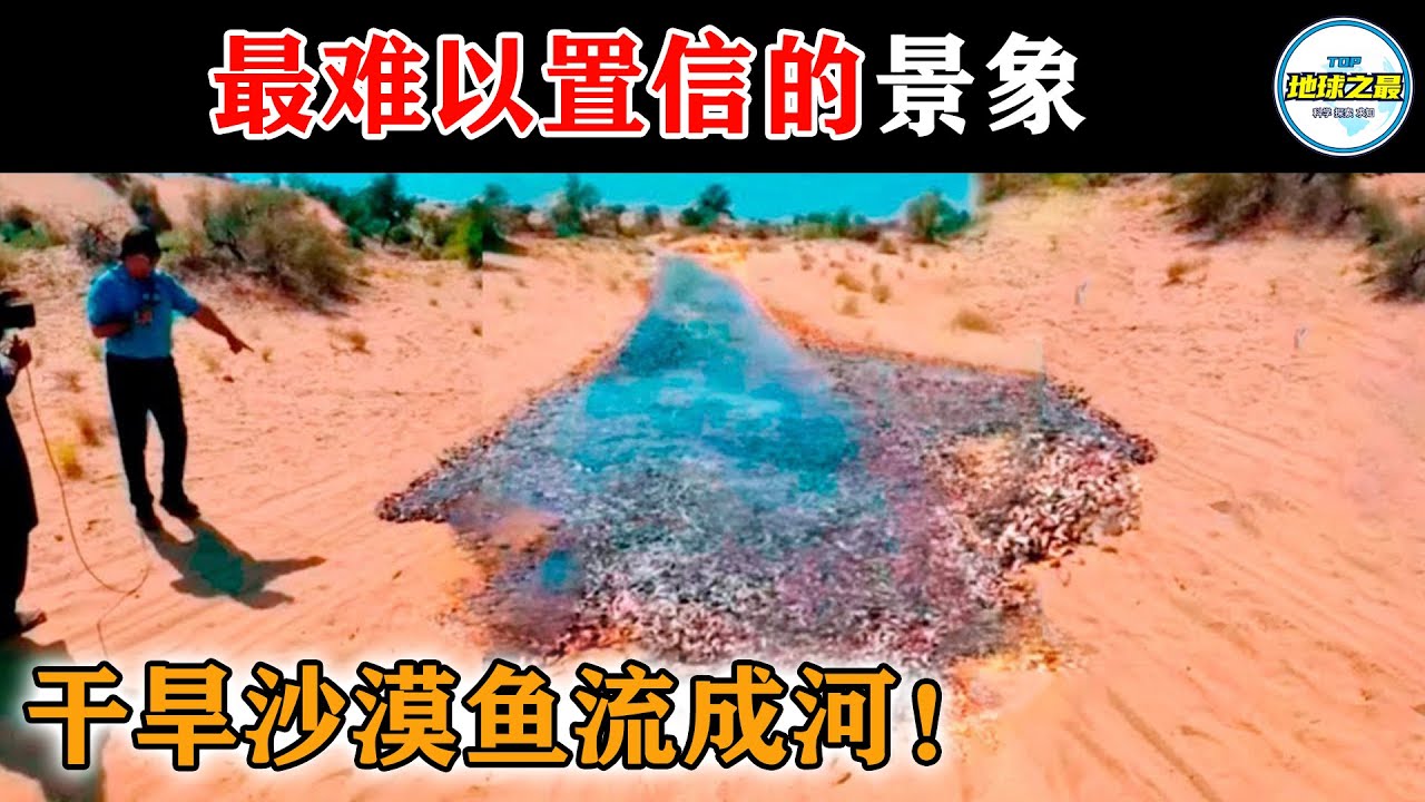 修女做的不堪入目的事！10个修道院最惊人的发现！丨地球之最#冷知识 #排名 #世界之最#修道院#基督教#教堂#耶稣#约柜#世界之最top#top10