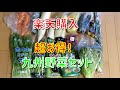 【楽天】九州野菜お任せセット１５点も入ってかなりお得です！商品紹介