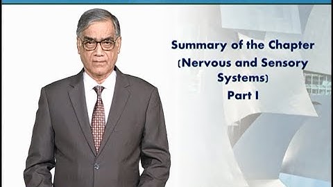 Summary: Nervous and Sensory Systems - Part 1 | Animal Form & Function 1 (Theory) | ZOO516T_Topic097