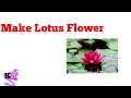 Lotus flower drawing lilylotoscyma
