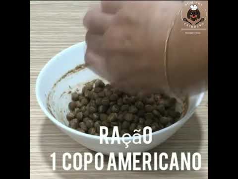 Vídeo: Como alimentar uma grávida ou amamentando uma dieta natural (Raw Dog Food)