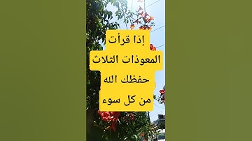 #حكمة_اليوم #توعية_دينية #islamicvideo #islam#سورة_الإخلاص #سورة_الفلق #سورة_الناس