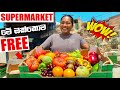 මෙච්චර බඩු ගොඩක් FREE ගන්නෙ කොහොමද 💰 || SUPERMARKET || Binario12