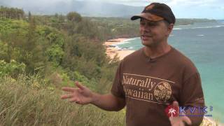 Hawaii Artist Patrick Ching on Teaching Painting Techniques - KVIC-TV, myKauai.com [Art]