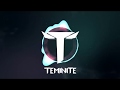 Evanescence  bring me to life teminite  the arcturians remix