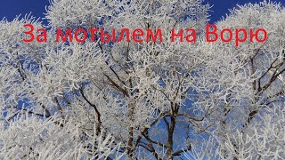 Поход за мотылем на р. Воря в марте 2016г.