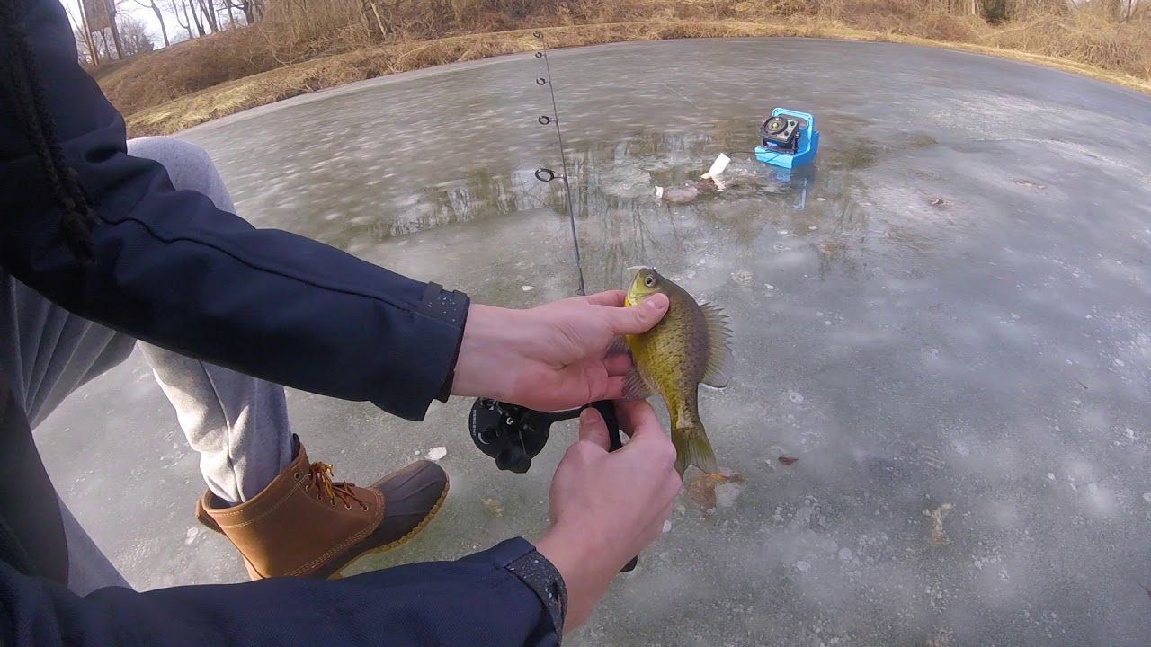 Pond Hop Ice Fishing Vexilar FLX12 Genz Pack YouTube