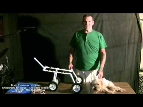 wheelchairs-for-dogs