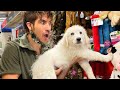 Buying Everything My Puppy Touches!