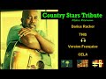 COUNTRY FRANCAIS COVER : Darius Rucker : THIS / CELA