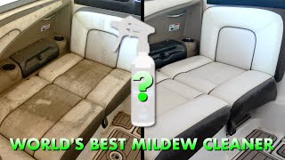World's BEST Mildew Cleaner | Before & After by JetBoatPilot 1,435 views 2 weeks ago 5 minutes, 28 seconds