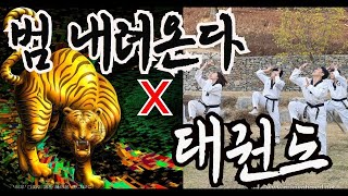 Newface Contest Season 2 - Taekwondo Master In The House Nolja Taekwondo