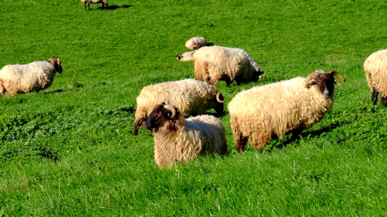 La sima de Legarrea.