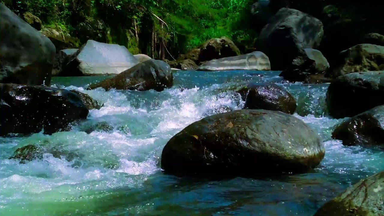 Pure Forest River Stream: Calm Water Sounds for Deep Work and Zen - YouTube