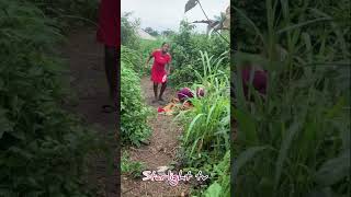 #music #nostalgia #dance #reggae #viralvideo #duet #love #reggaemusic #viralshorts #youtuber