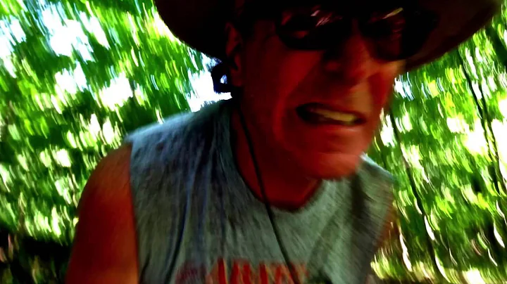 Typical Flies  George Ribar