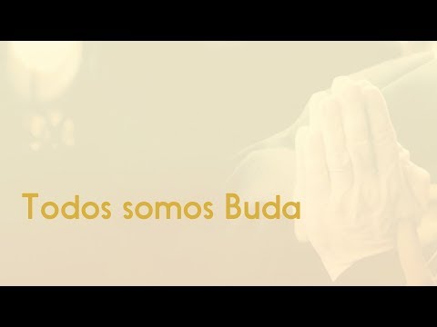 Vídeo: De onde vem o dhamma?