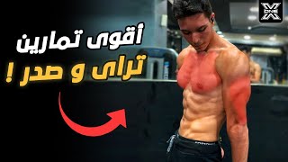 أفضل تمارين لتقوية عضلات الصدر والتراي للمبتدئين !! Chest & Triceps workout