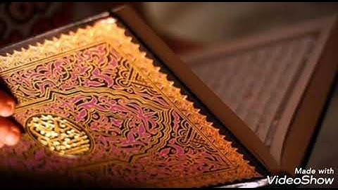 الحث على مداومة تلاوة القرآن // الشيخ صالح بن فوزان الفوزان حفظه الله تعالى